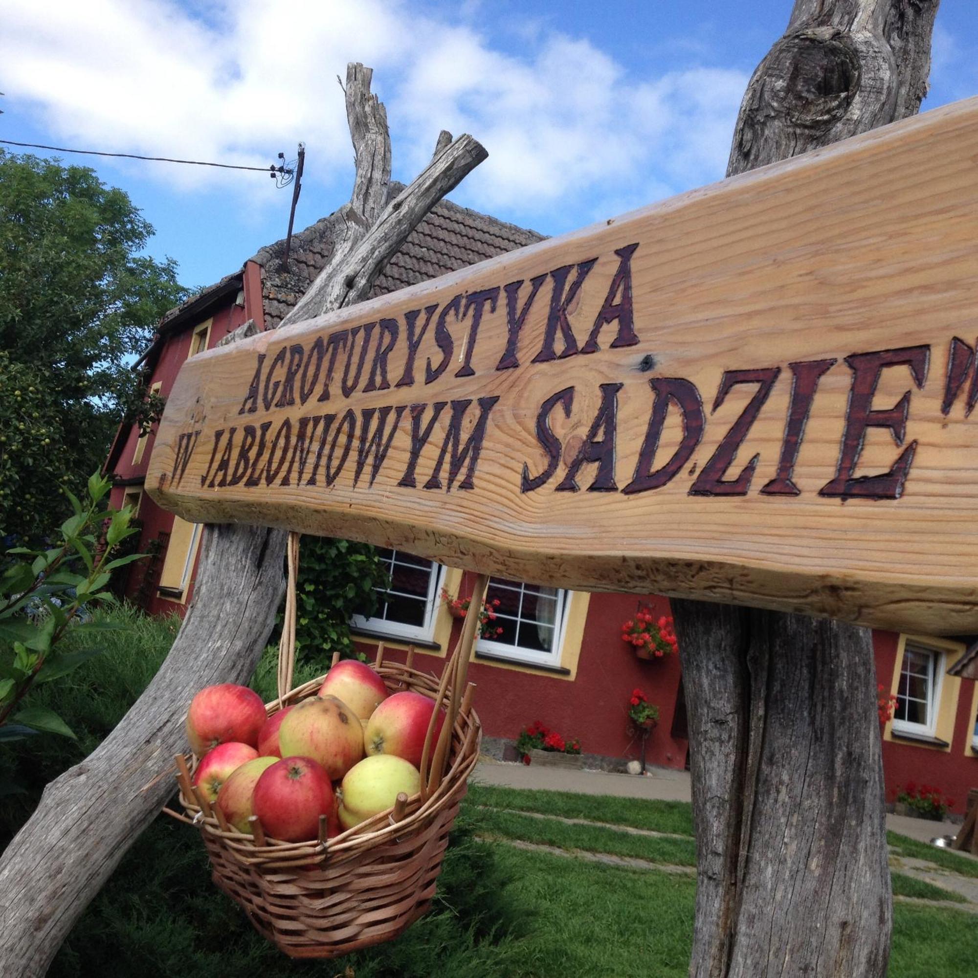 Jezyce Agroturystyka W Jabloniowym Sadzie מראה חיצוני תמונה